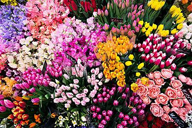 《黑夜君临》总监承诺将调整难度 最终boss也将修改