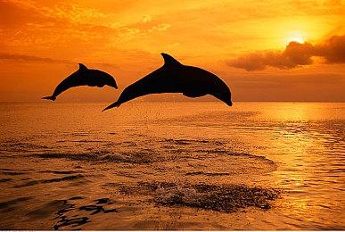 迪士尼投资Epic15亿美元打造全新游戏和娱乐宇宙