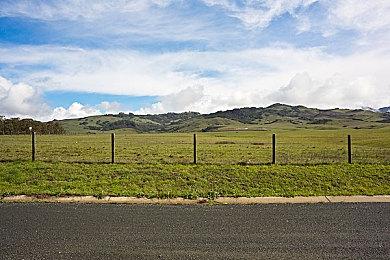 世嘉经典IP复活计划野心勃勃 再次提交八款商标注册